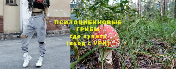 МДПВ Белокуриха