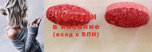 гидра Богородск