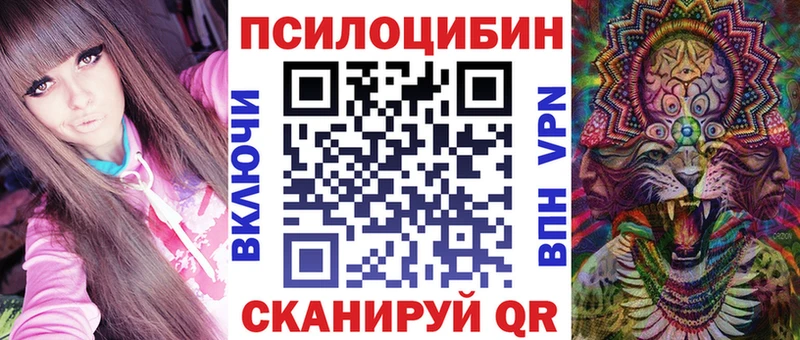купить   Вилючинск  ОМГ ОМГ зеркало  Галлюциногенные грибы мухоморы 